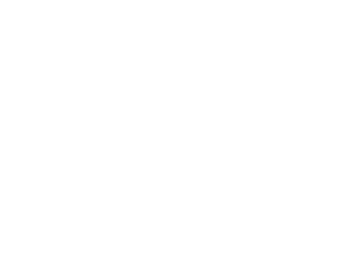 Viva BRAVO