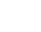 Viva BRAVO